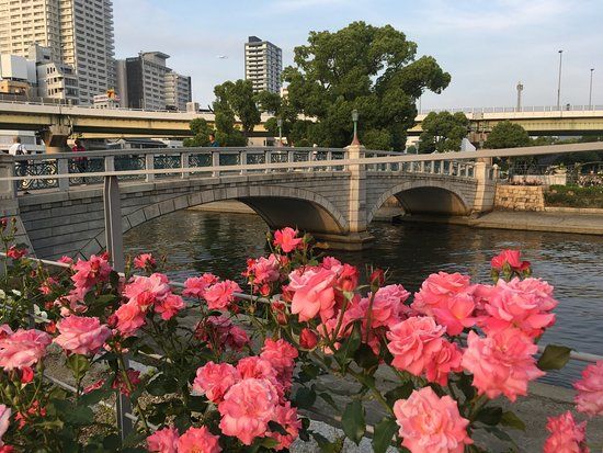 Nakanoshima Rose Garden